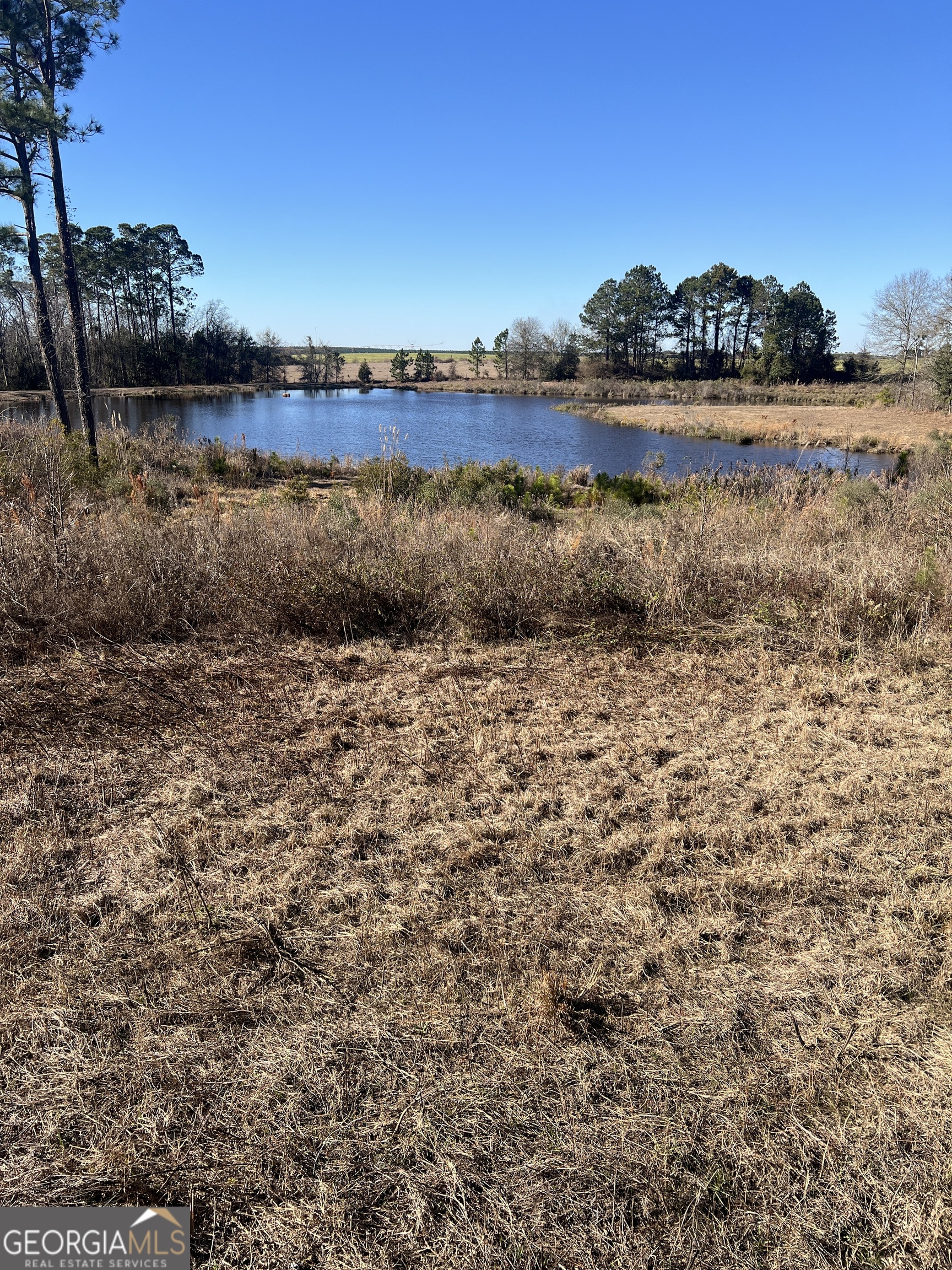 0 Marchants Dairy Road Rhine, GA 31077 - Photo 3 of 11