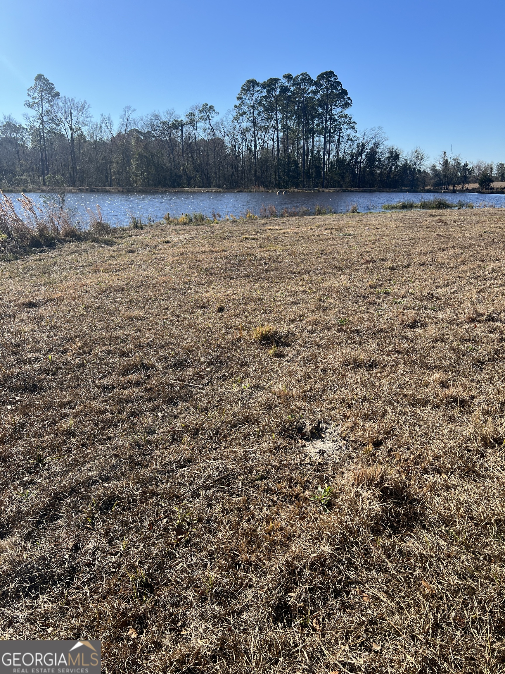 0 Marchants Dairy Road Rhine, GA 31077 - Photo 5 of 11