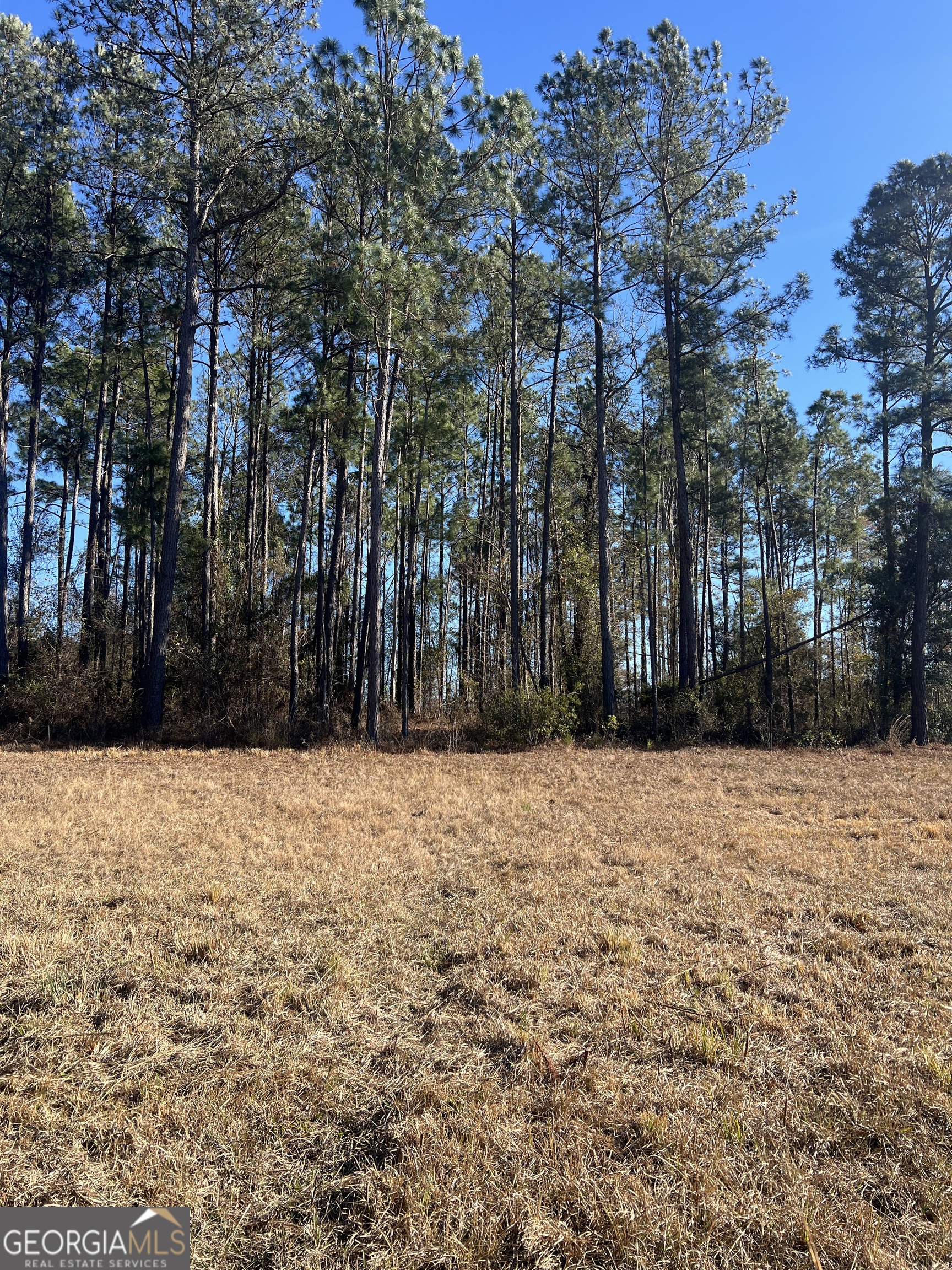 0 Marchants Dairy Road Rhine, GA 31077 - Photo 6 of 11