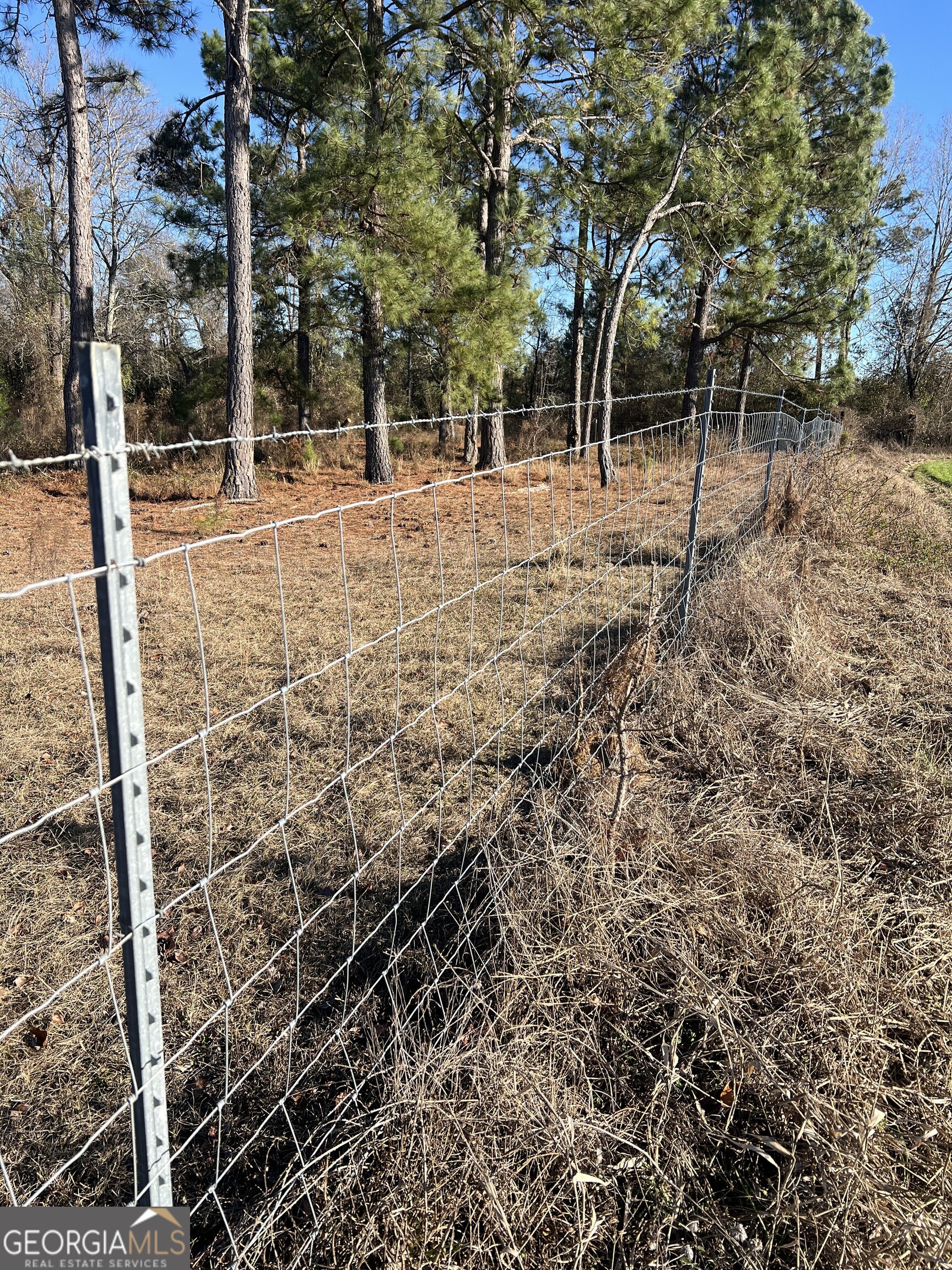 0 Marchants Dairy Road Rhine, GA 31077 - Photo 10 of 11