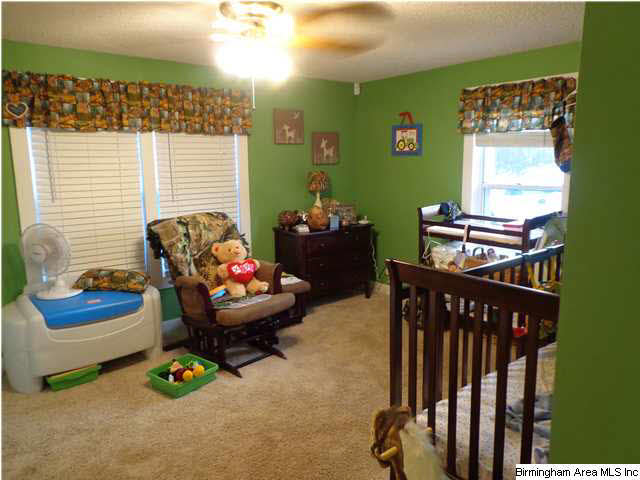 7037 Warrior River Road Bessemer, AL 35023 - Photo 13 of 18