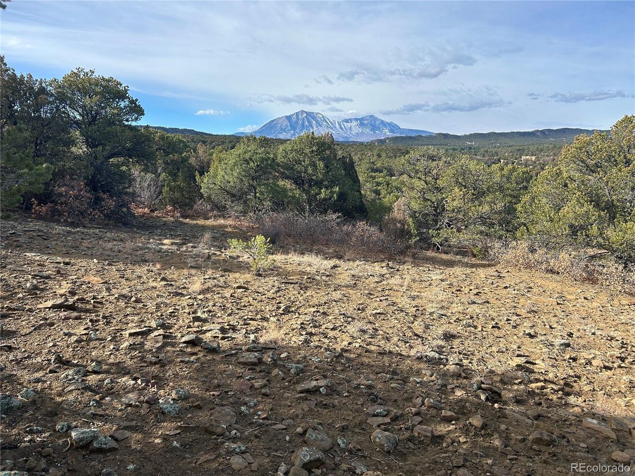 142 Silver Spur Road Walsenburg, CO 81089 - Photo 14 of 26 a view of a yard with a mountain