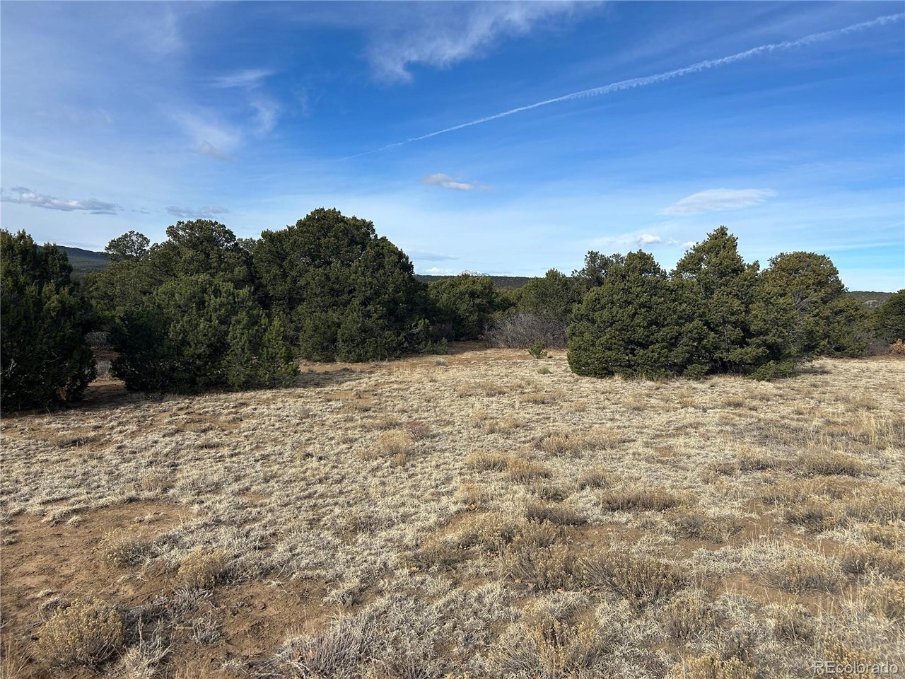 142 Silver Spur Road Walsenburg, CO 81089 - Photo 21 of 26 a view of a dry yard with trees