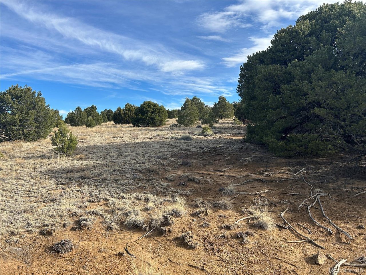 142 Silver Spur Road Walsenburg, CO 81089 - Photo 22 of 26 a view of dirt field with trees around