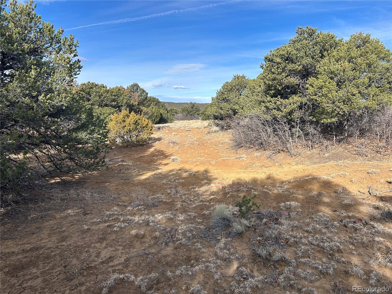142 Silver Spur Road Walsenburg, CO 81089 - Photo 25 of 26 a view of ocean view with beach