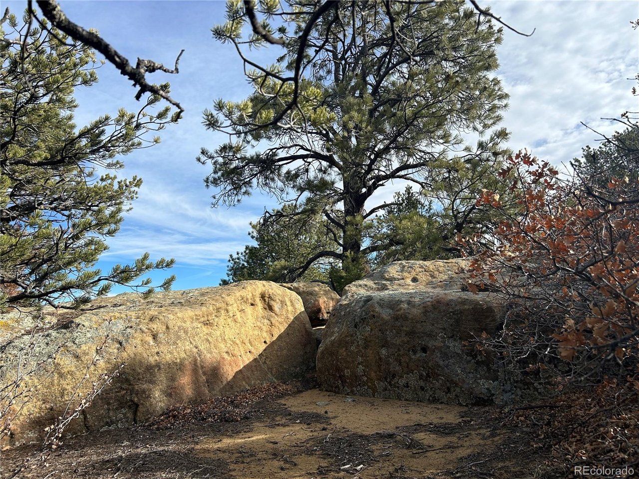 142 Silver Spur Road Walsenburg, CO 81089 - Photo 8 of 26 a view of a yard