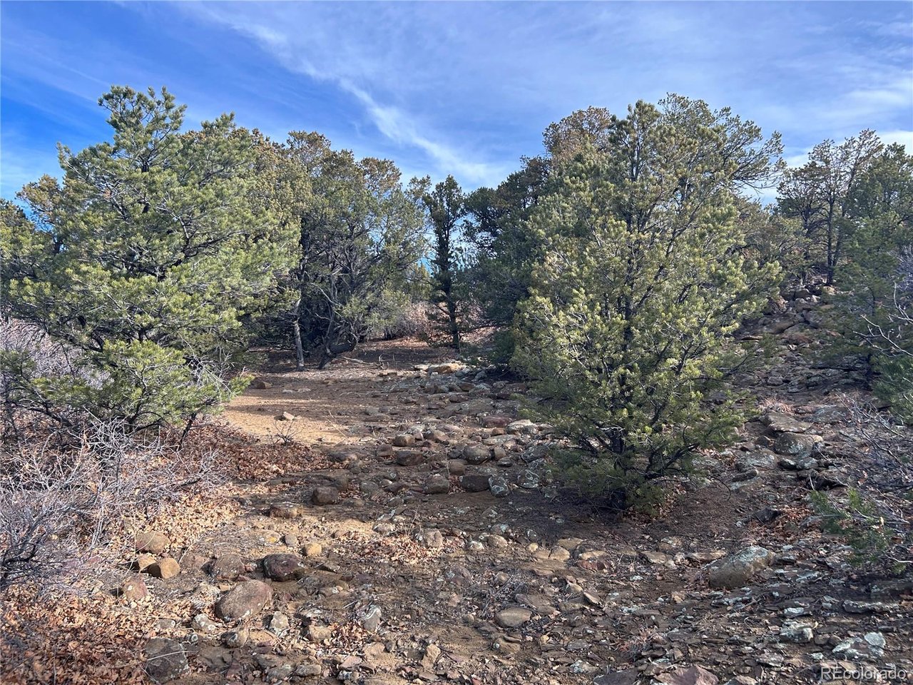 142 Silver Spur Road Walsenburg, CO 81089 - Photo 10 of 26 a view of a forest with trees in the background