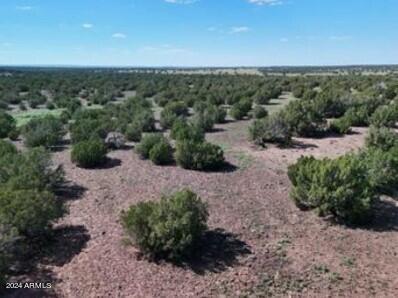 1 Grant Road Show Low, AZ 85901 - Photo 7 of 22 7