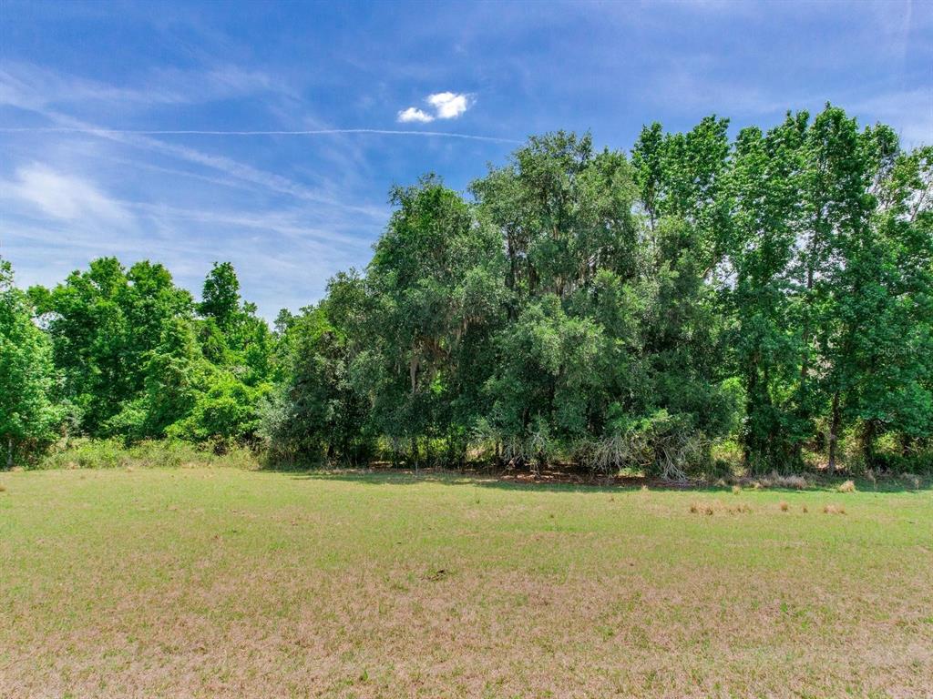 Spring Lake Highway Brooksville, FL 34602 - Photo 27 of 49 a view of a yard