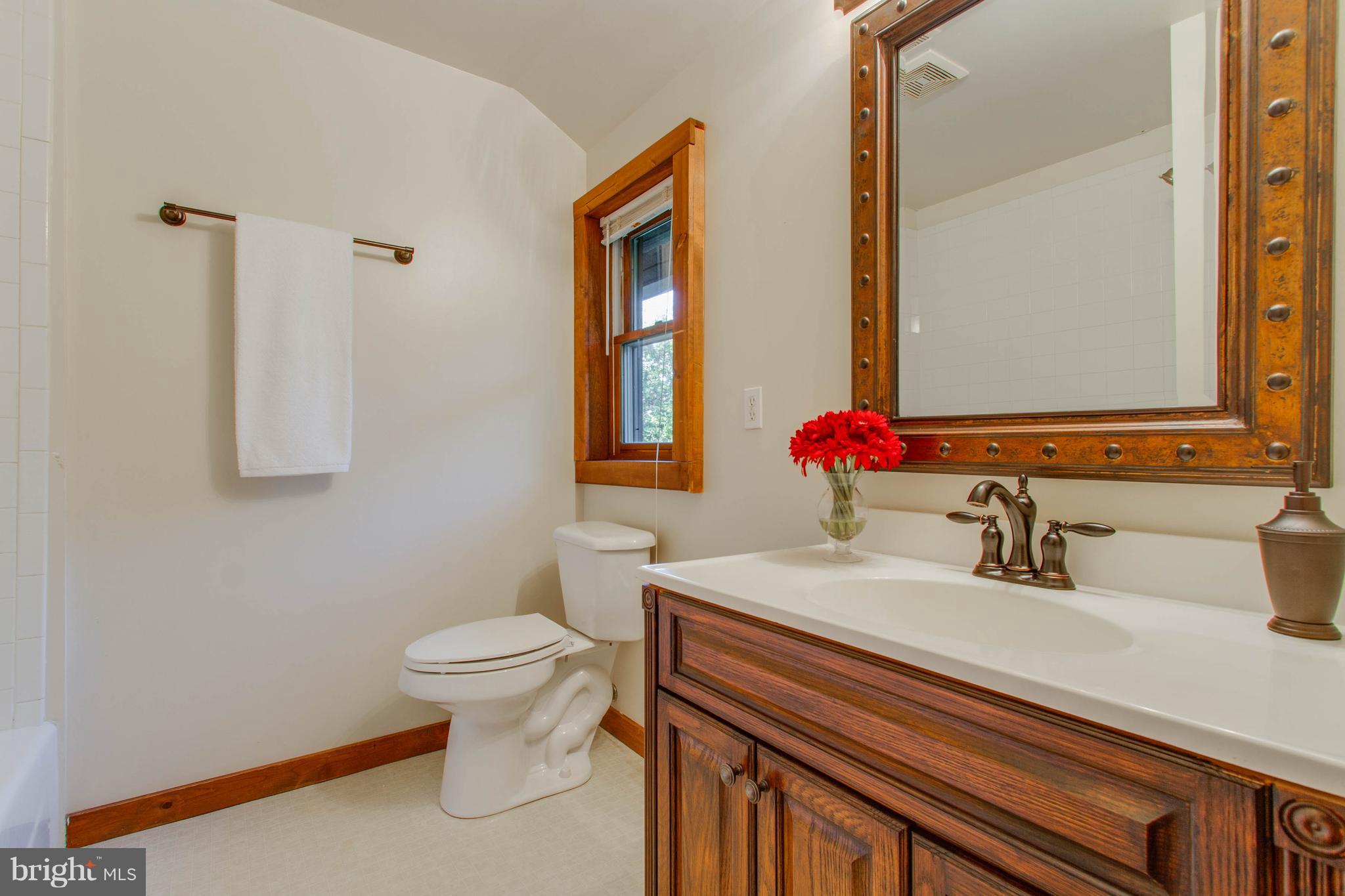 17239 Trimmers Road Orange, VA 22960 - Photo 21 of 26 Bath (Master)