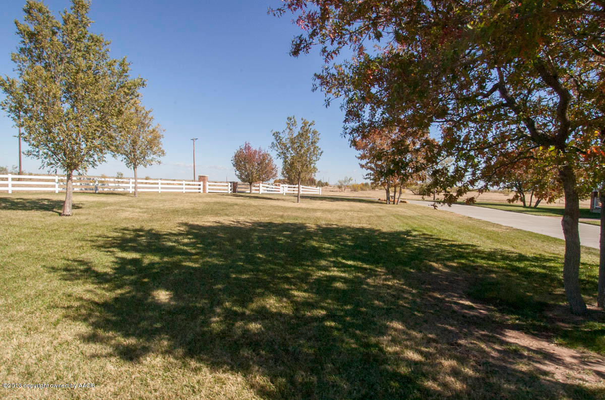 1720 Dowell Road Amarillo, TX 79124 - Photo 72 of 82 FRONT LAWN VIEW 2