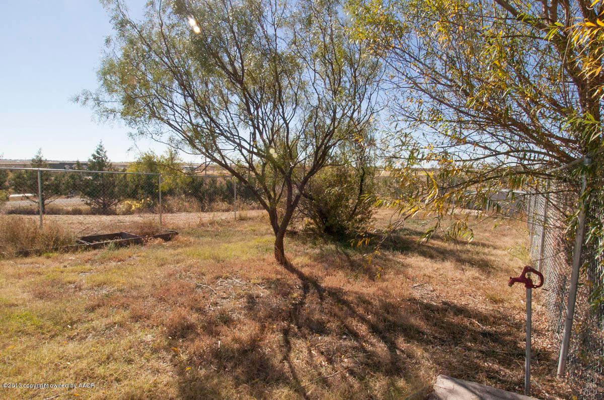 1720 Dowell Road Amarillo, TX 79124 - Photo 77 of 82 DOG RUN INSIDE