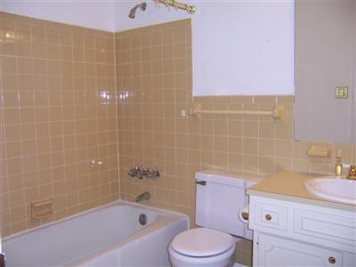 167 Woodlark Road Versailles, KY 40383 - Photo 9 of 17 Full bath in hall, tan tile.