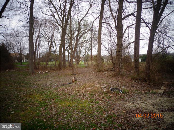 1356 Everetts Corner Road Hartly, DE 19953 - Photo 14 of 14 Gallery Image 14