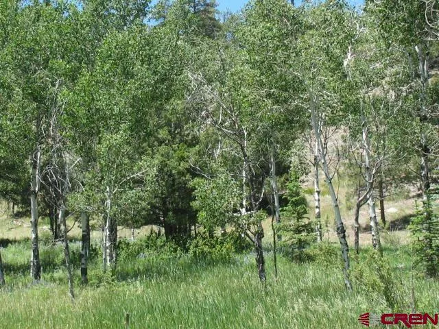 a view of a lush green space