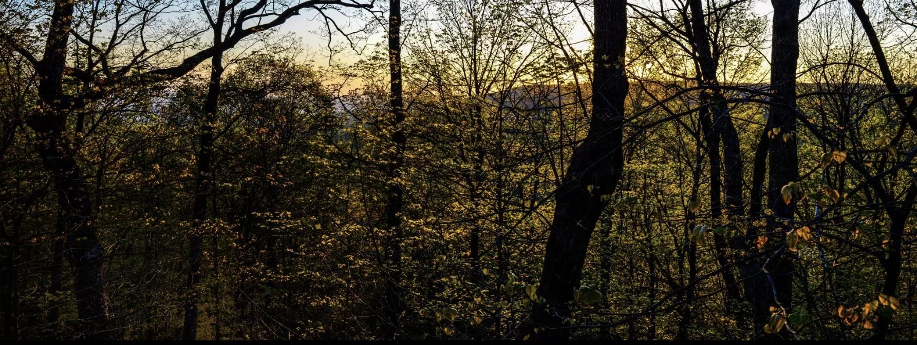 95 Poplar Lane Sewanee, TN 37375 - Photo 23 of 26