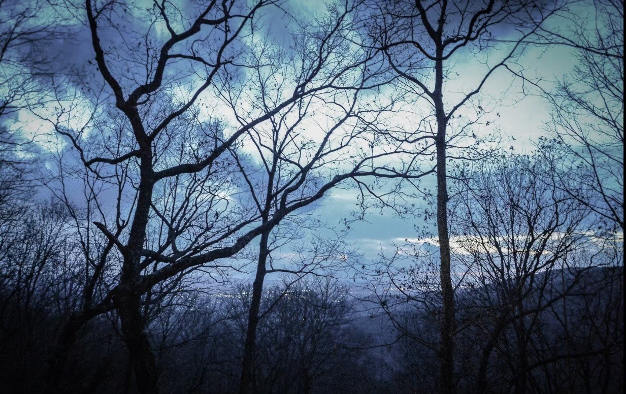 95 Poplar Lane Sewanee, TN 37375 - Photo 25 of 26