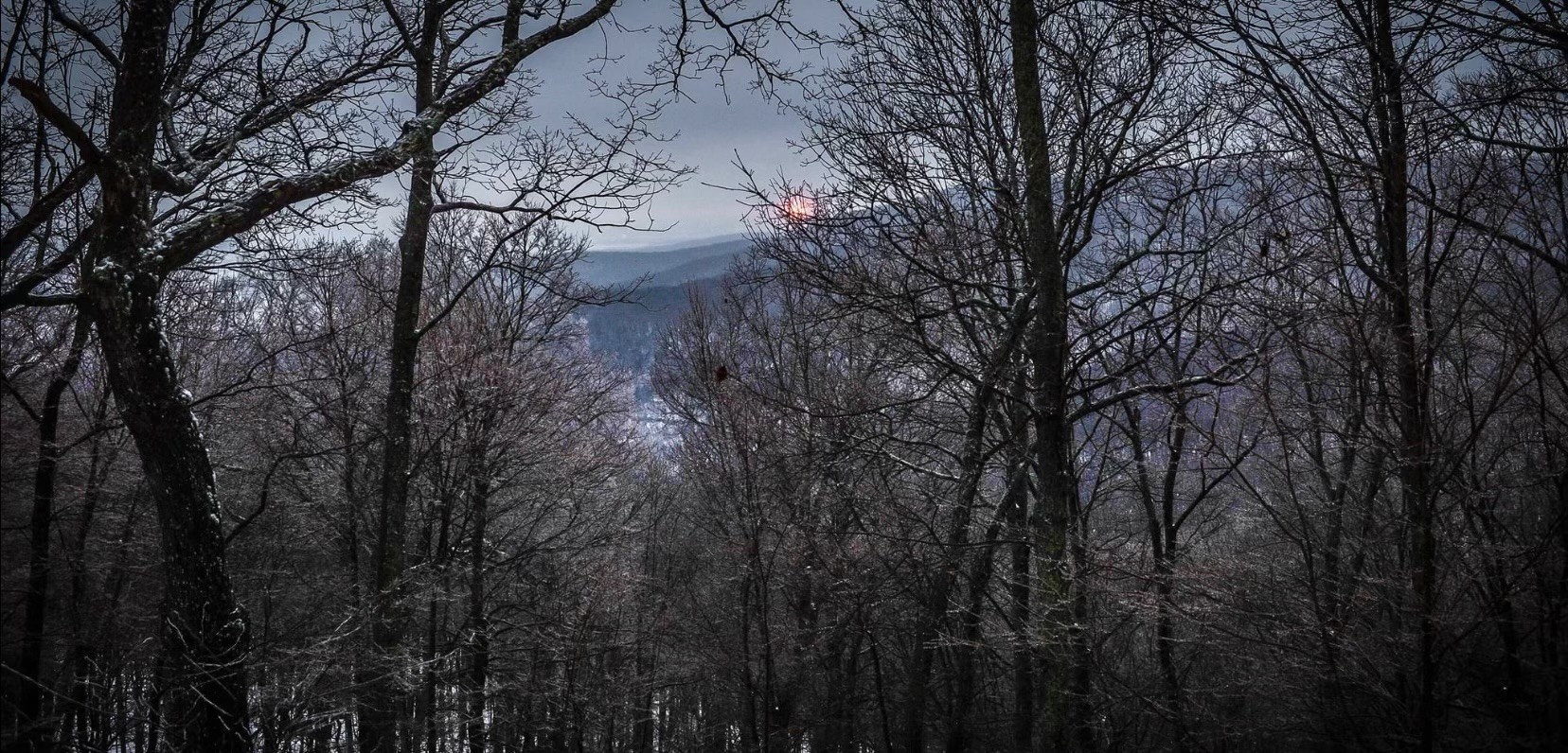 95 Poplar Lane Sewanee, TN 37375 - Photo 26 of 26