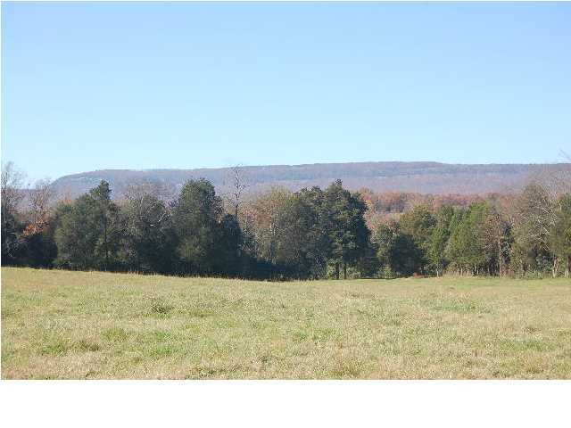1592 Hog Jowl Road Chickamauga, GA 30707 - Photo 1 of 14 Primary Photo