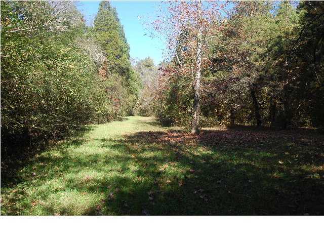 1592 Hog Jowl Road Chickamauga, GA 30707 - Photo 2 of 14 Additional Photo