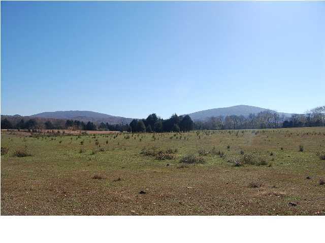 1592 Hog Jowl Road Chickamauga, GA 30707 - Photo 5 of 14 Additional Photo