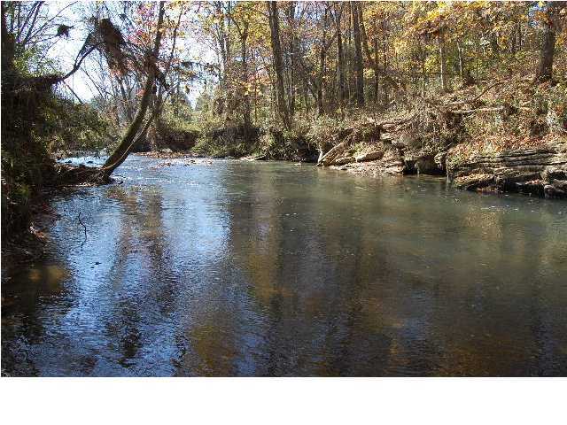 1592 Hog Jowl Road Chickamauga, GA 30707 - Photo 7 of 14 Additional Photo