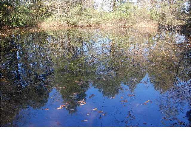 1592 Hog Jowl Road Chickamauga, GA 30707 - Photo 8 of 14 Additional Photo