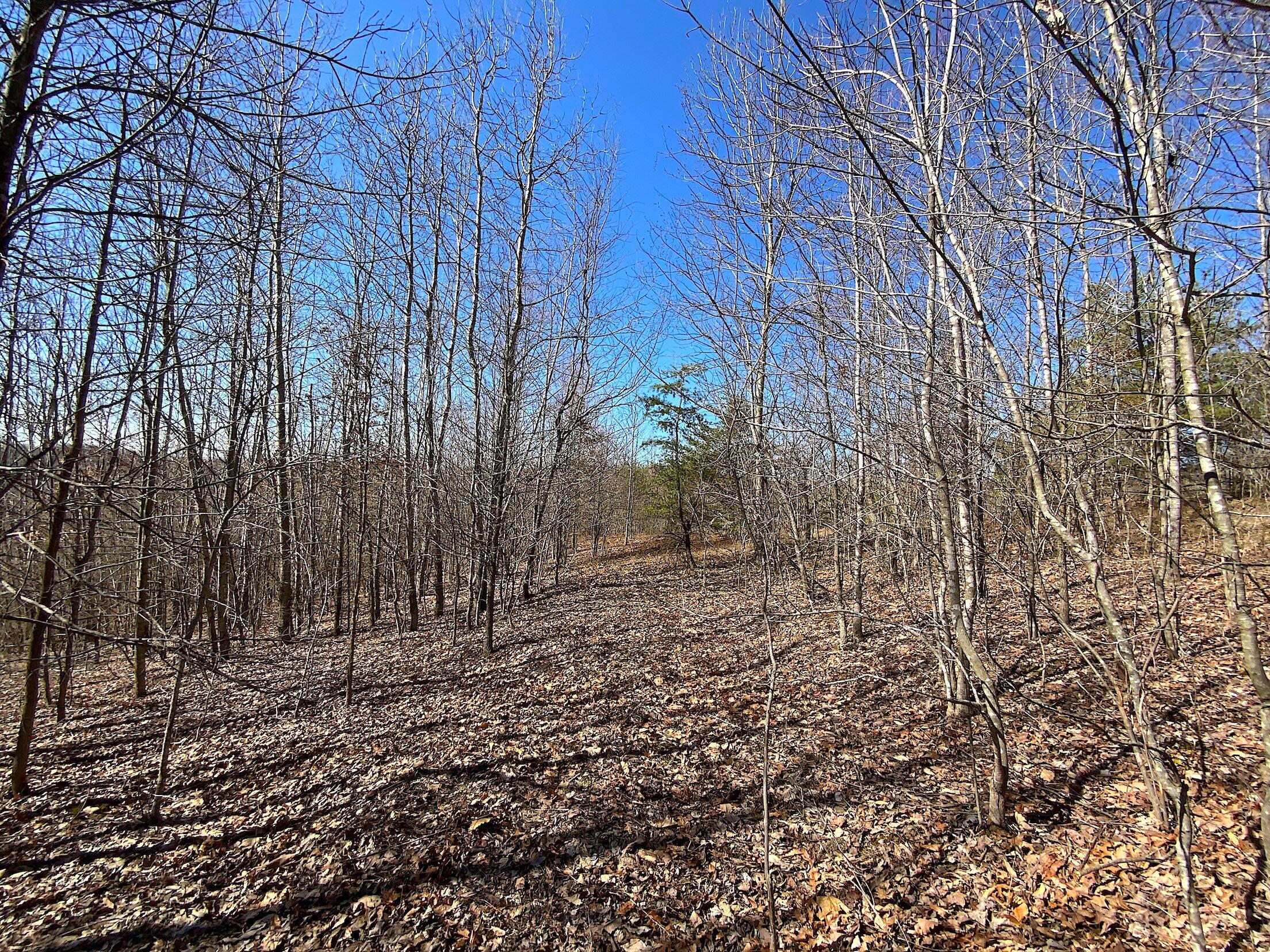 0 Kelly Road Ray, OH 45672 - Photo 3 of 46 Vinton County Kelly Rd 2