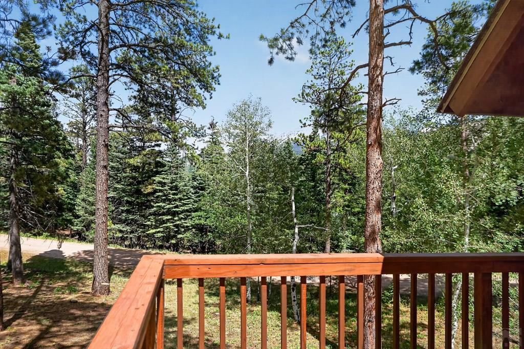 45 County Road La Veta, CO 81055 - Photo 48 of 49 Gallery Image 48