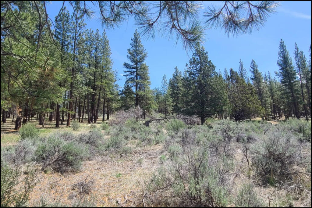 288110 Tableland Road Chiloquin, OR 97624 - Photo 6 of 24 04