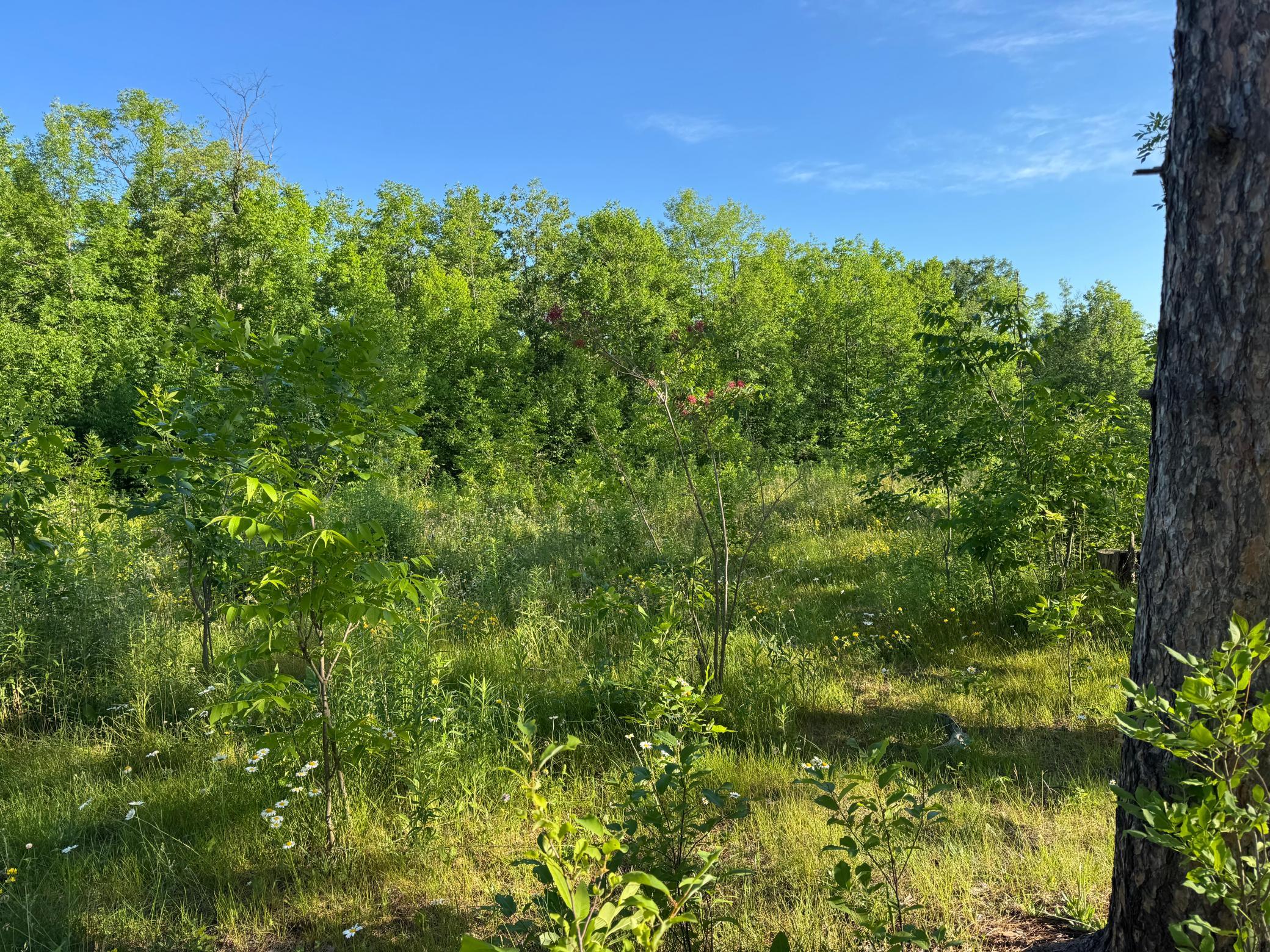 Tbd-2 North Riverside Road Moose Lake, MN 55767 - Photo 6 of 12