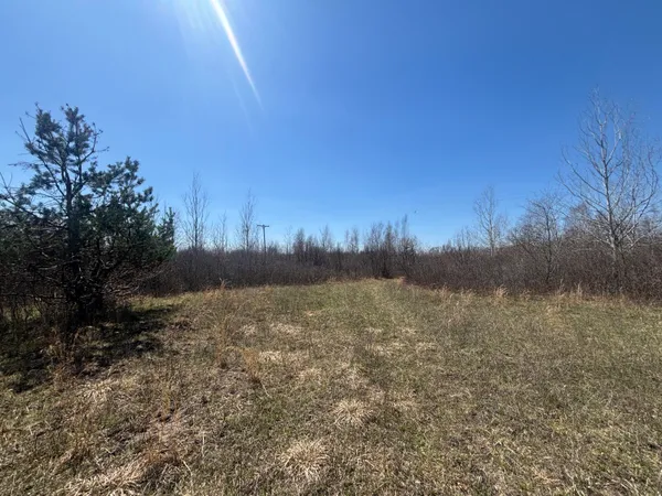 $77,500 | 10-a P2 North Magruder Road, Coleman, MI 48618