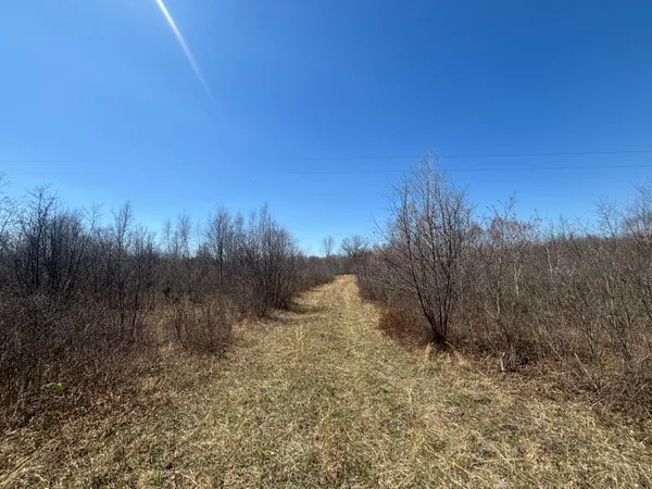 $77,500 | 10-a P2 North Magruder Road, Coleman, MI 48618