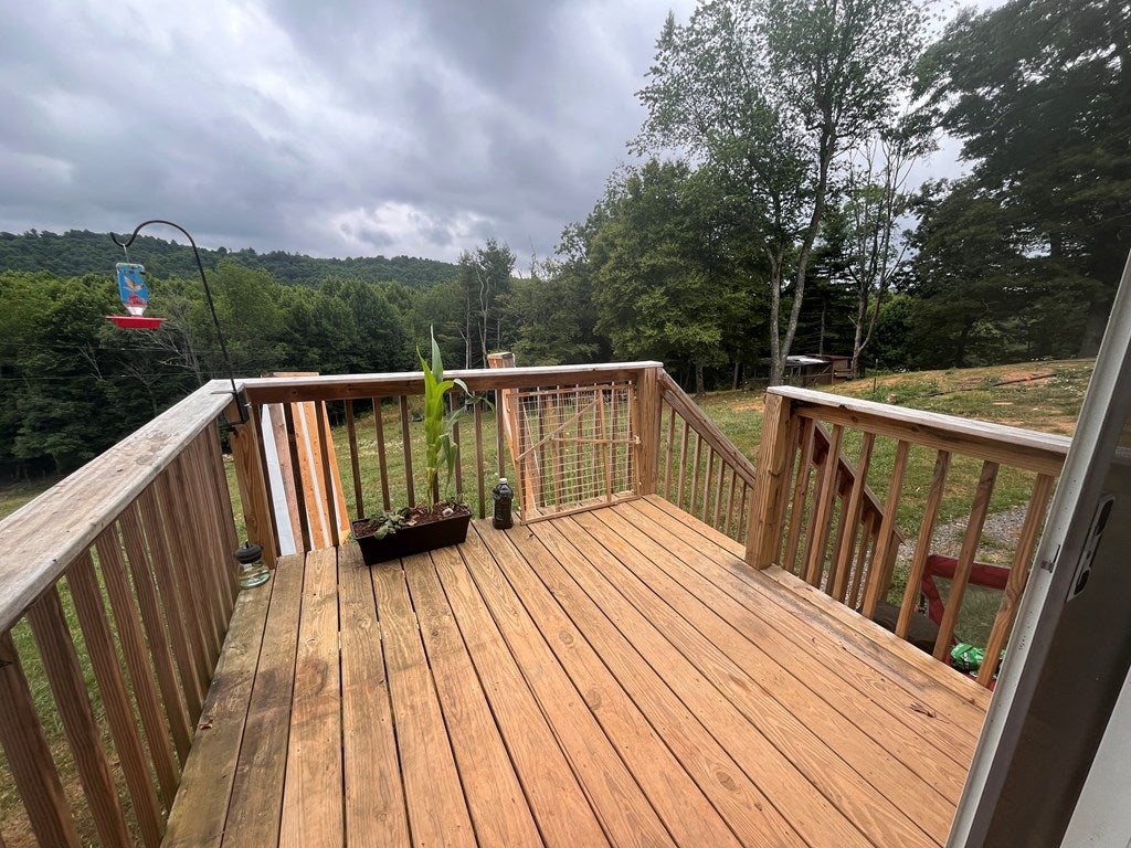 1891 Sandy Level Road Woodlawn, VA 24381 - Photo 42 of 64 Gallery Image 42
