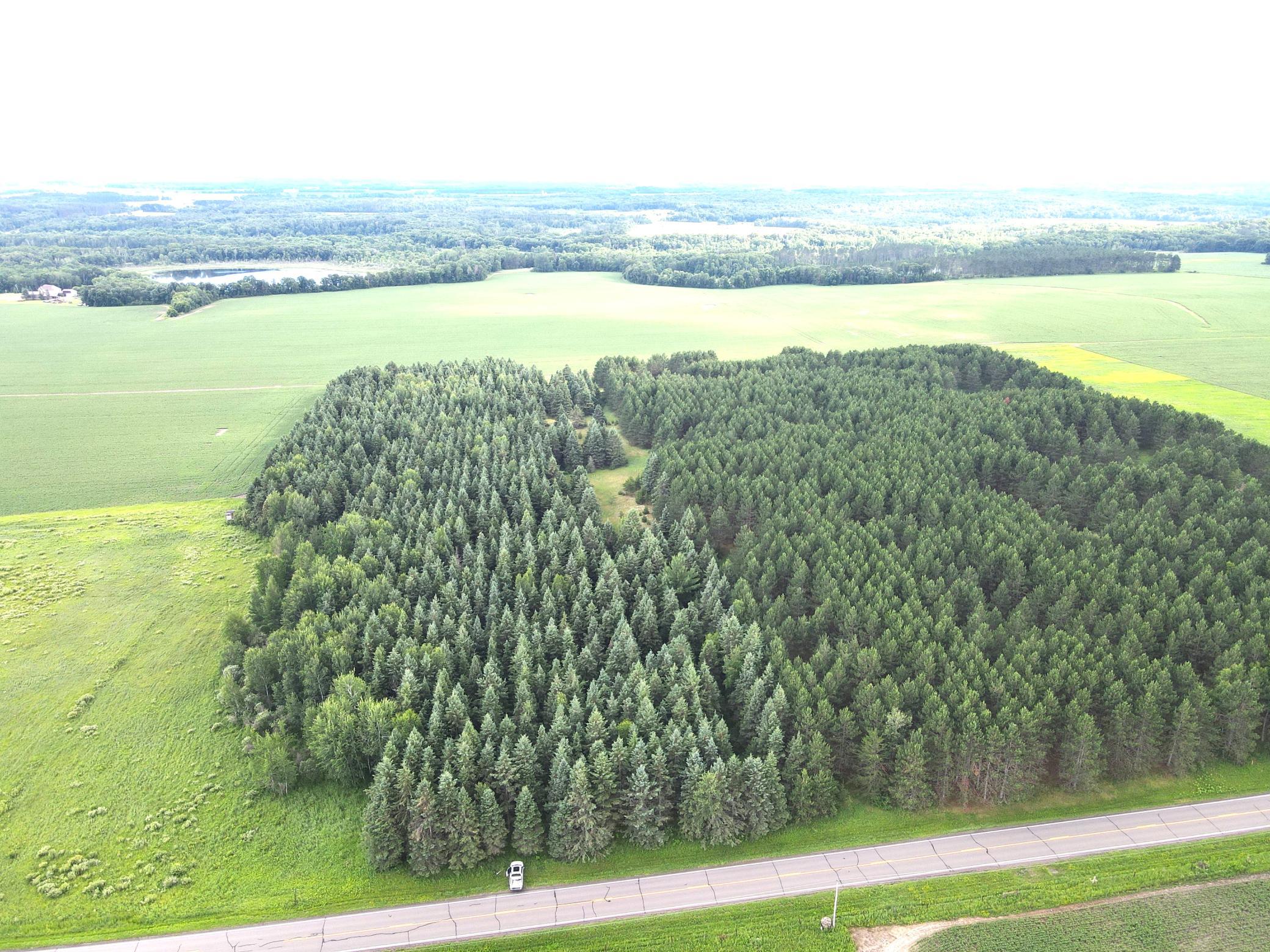 Tbd-20-ac Sleepy Hollow Road Fort Ripley, MN 56449 - Photo 21 of 27