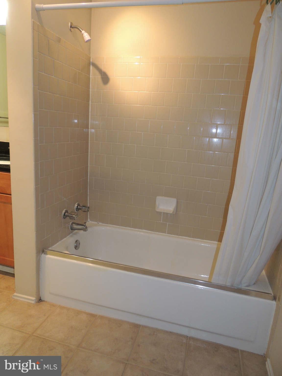 21033 Timber Ridge Terrace, Unit 301 Ashburn, VA 20147 - Photo 12 of 13 Bath