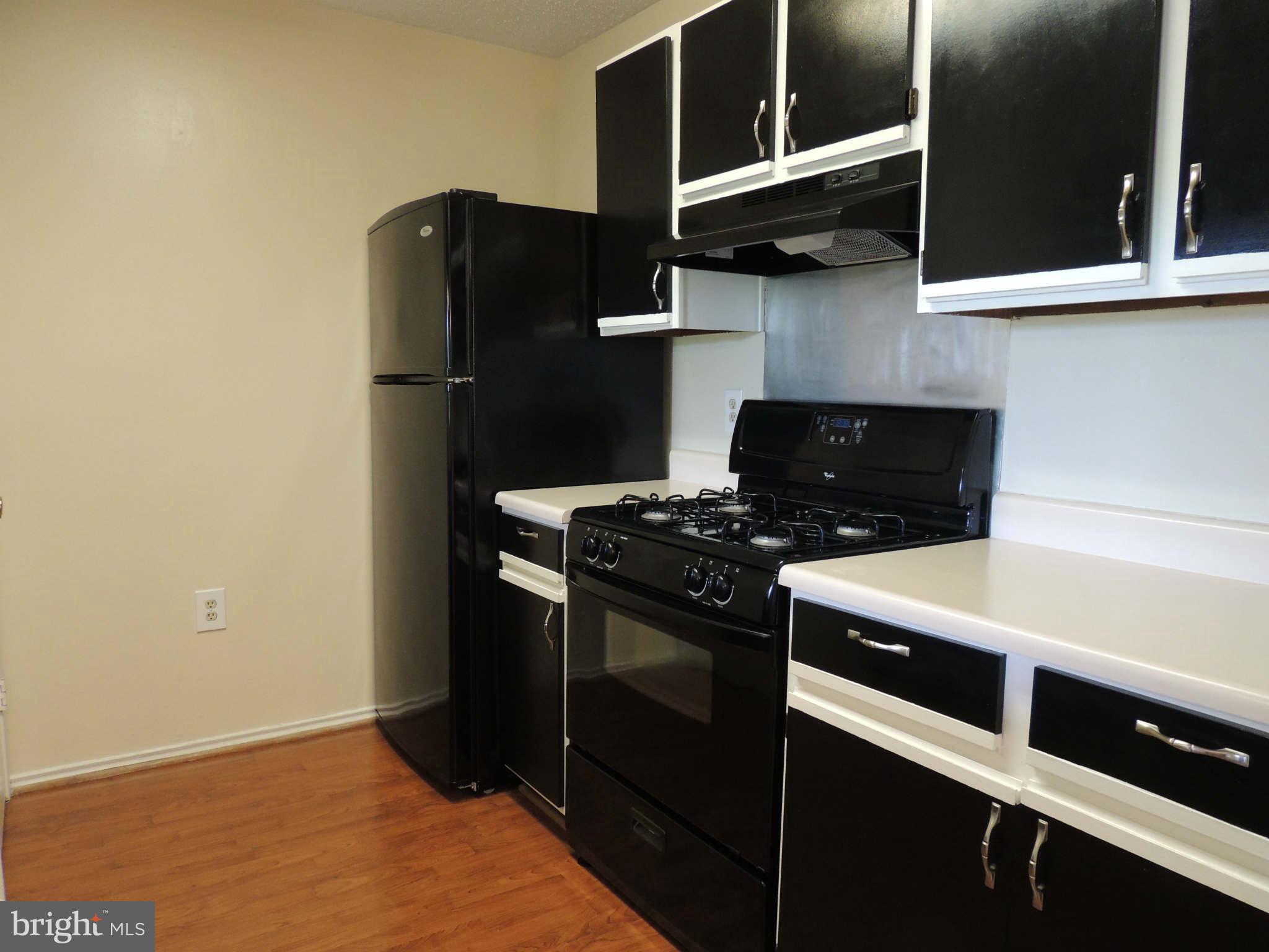 21033 Timber Ridge Terrace, Unit 301 Ashburn, VA 20147 - Photo 4 of 13 Kitchen