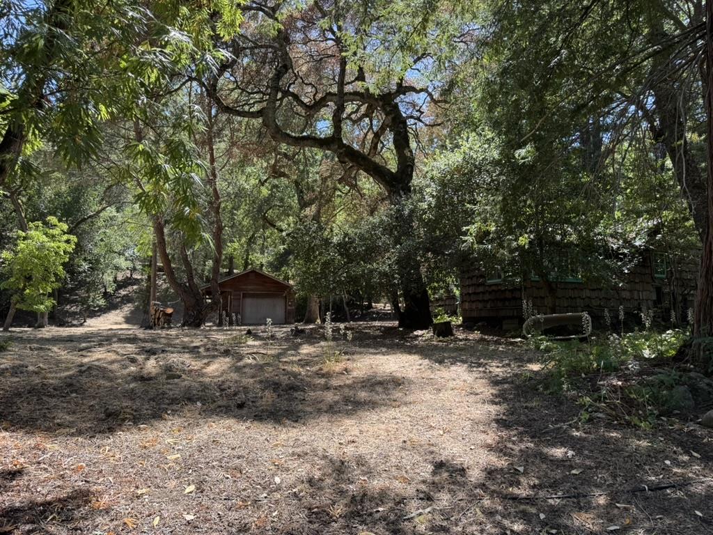 245 Bonita Road Portola Valley, CA 94028 - Photo 9 of 12