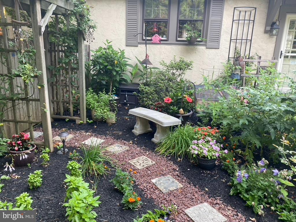 124 Grandview Road Ardmore, PA 19003 - Photo 56 of 65 a view of a garden with flowers and flowers
