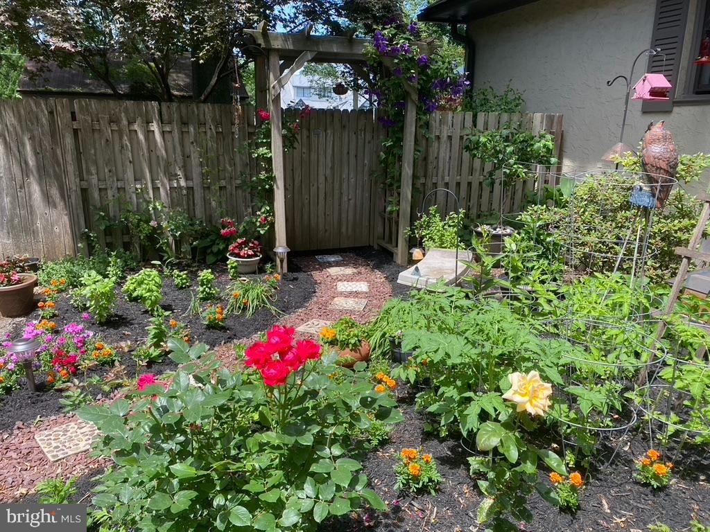 124 Grandview Road Ardmore, PA 19003 - Photo 57 of 65 a view of a flower in a garden