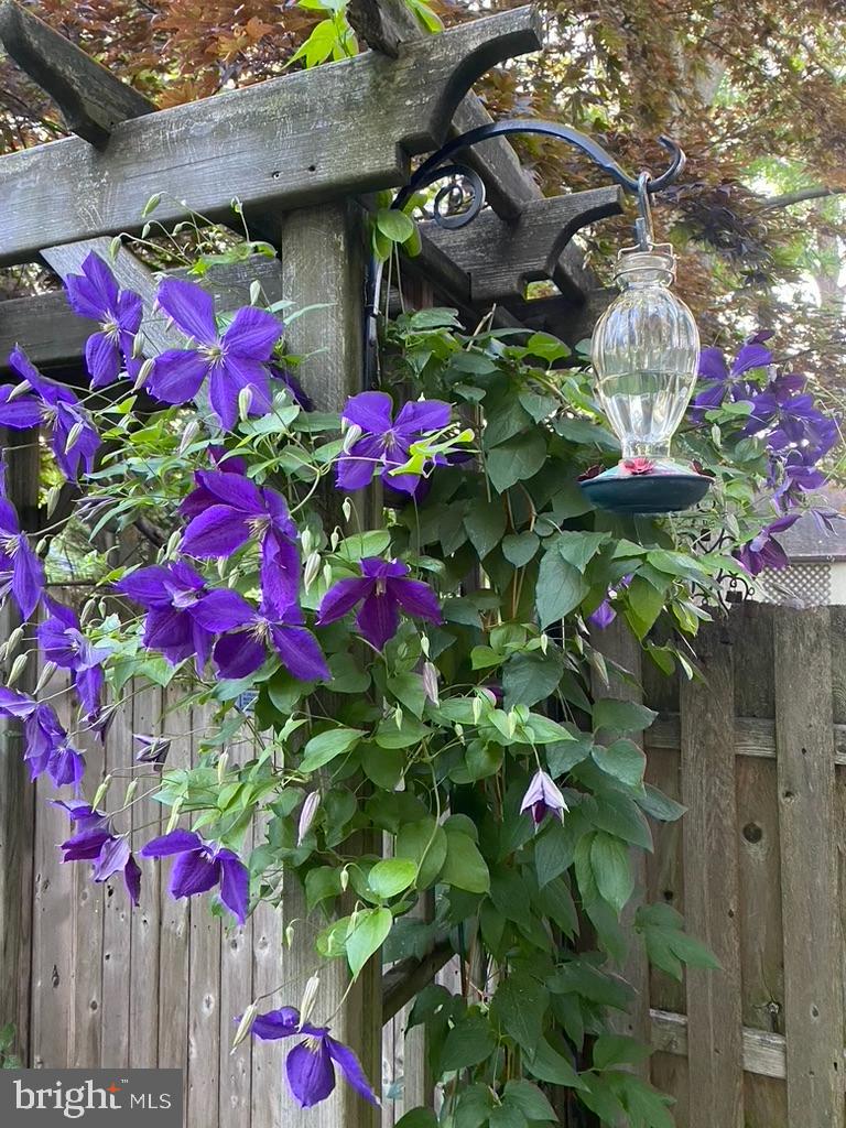 124 Grandview Road Ardmore, PA 19003 - Photo 58 of 65