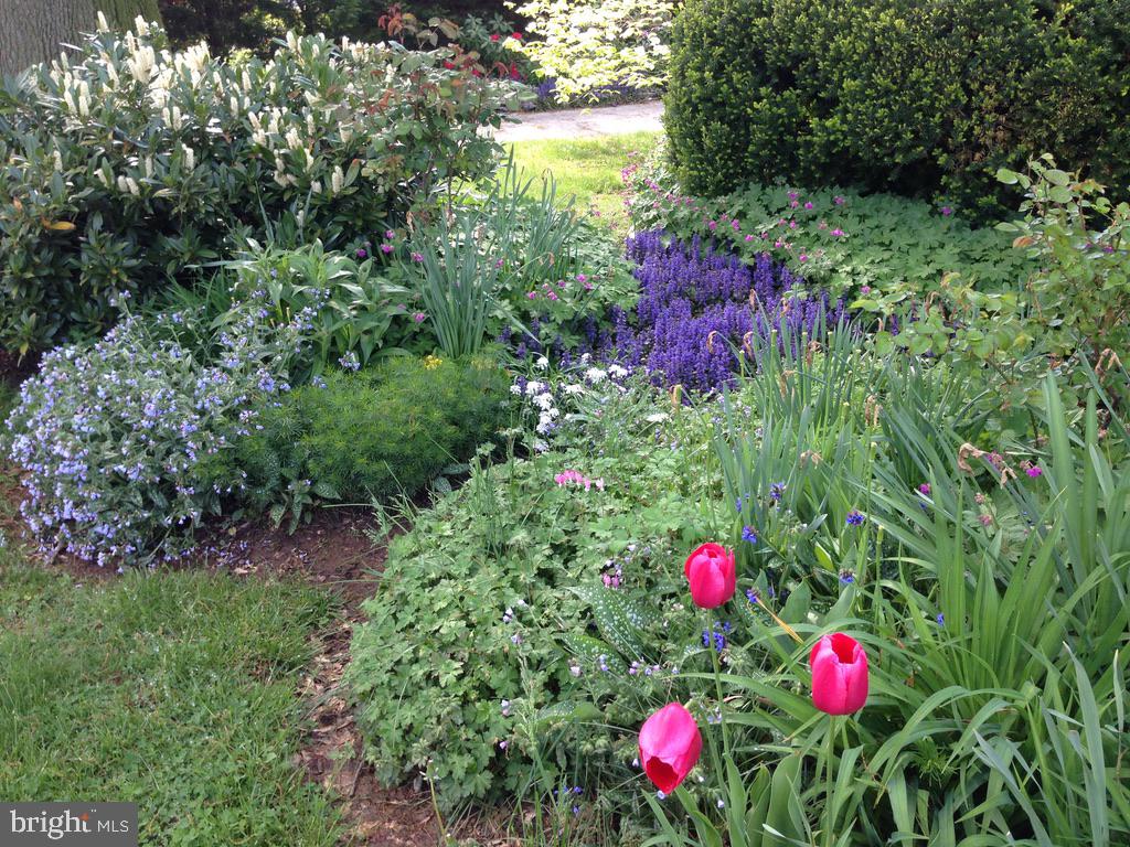 124 Grandview Road Ardmore, PA 19003 - Photo 59 of 65