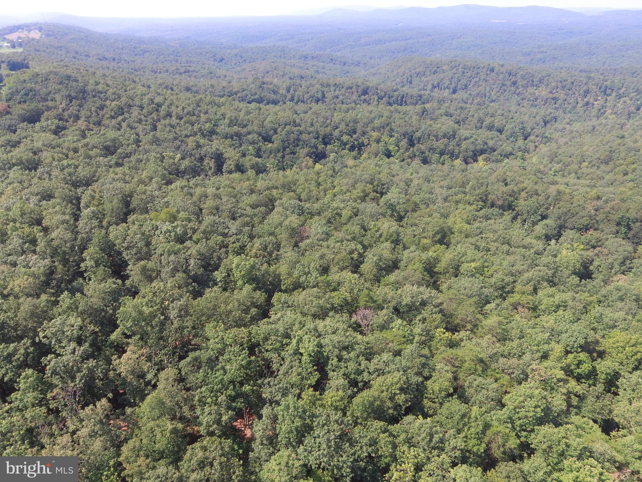 Lot 4 Green Ridge Road Northeast Flintstone, MD 21530 - Photo 22 of 28 Gallery Image 22