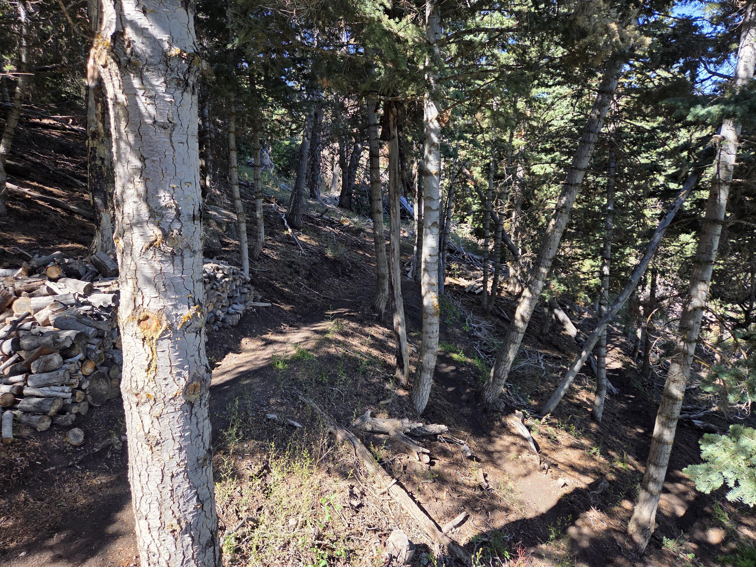 Braffits Creek, Unit 21 Cedar City, UT 84721 - Photo 19 of 25 1000007392
