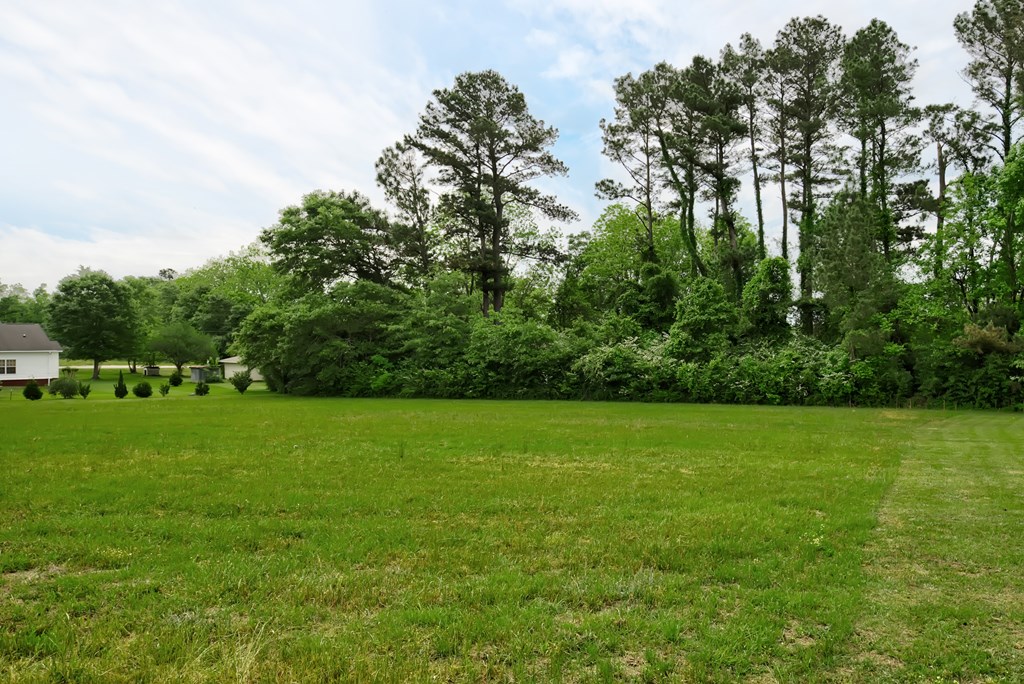 Lot 3 McCord Road Dothan, AL 36301 - Photo 7 of 10