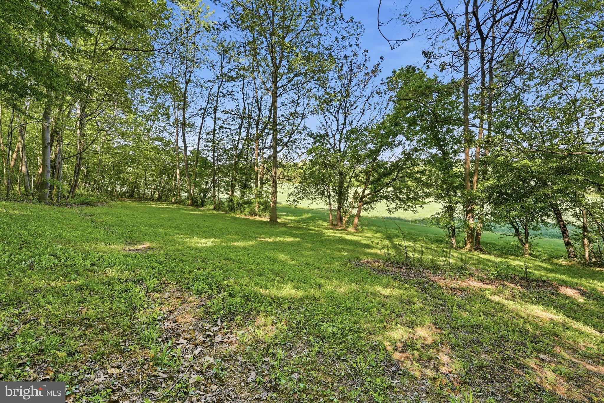 4512 True Blue Road Culpeper, VA 22701 - Photo 26 of 29