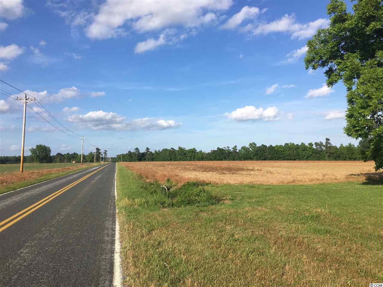 88-ac Bartells Road Hemingway, SC 29554 - Photo 1 of 2
