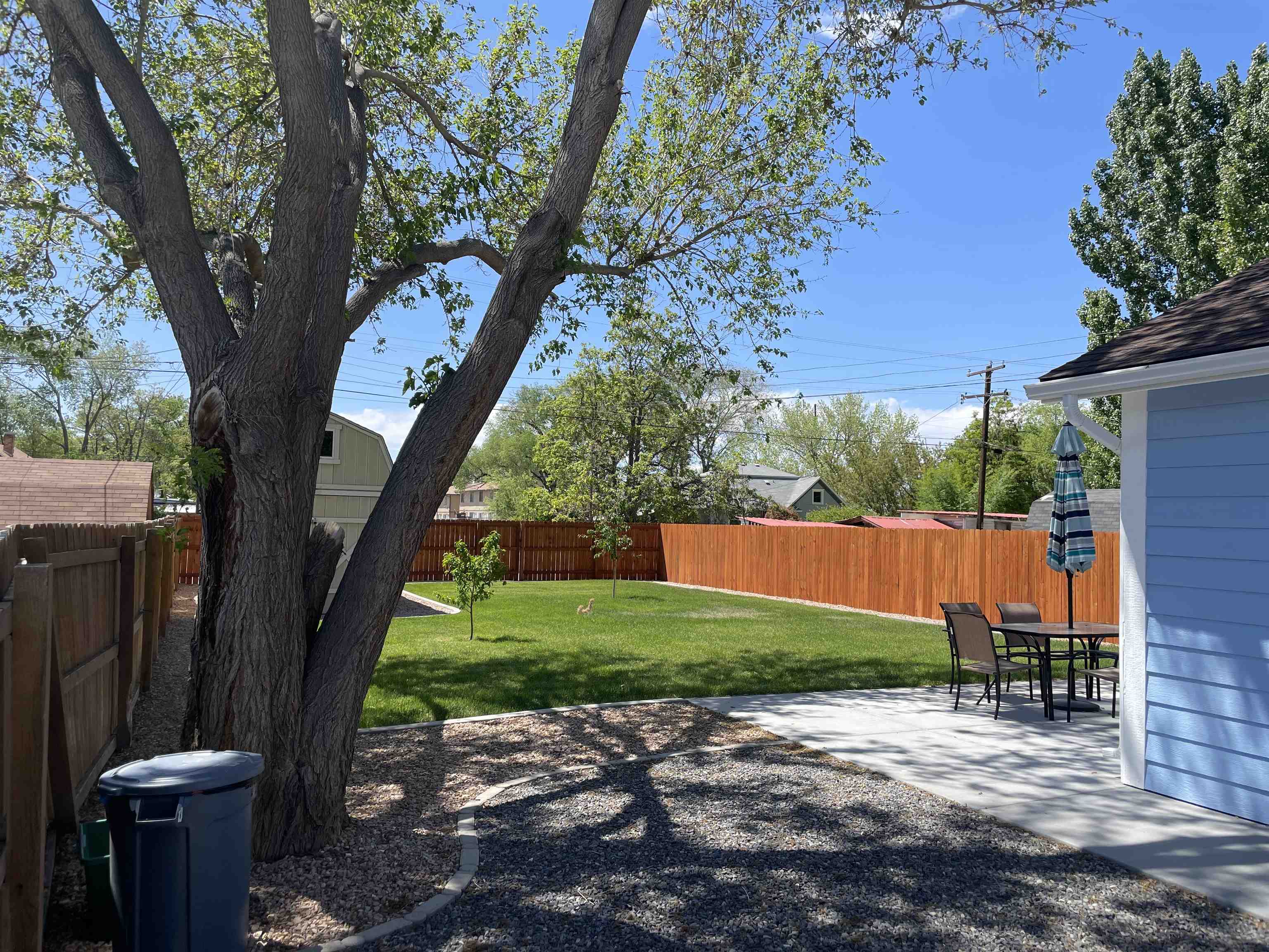 159 North Willow Street Fruita, CO 81521 - Photo 3 of 9 a view of a backyard