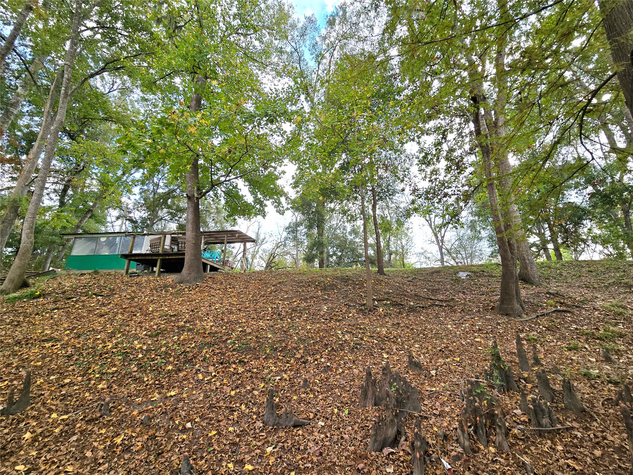 223 County Road 2167B Cleveland, TX 77327 - Photo 41 of 50
