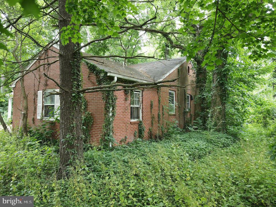 1733 Lancaster Road Manheim, PA 17545 - Photo 7 of 22 a backyard of a house with lots of green space